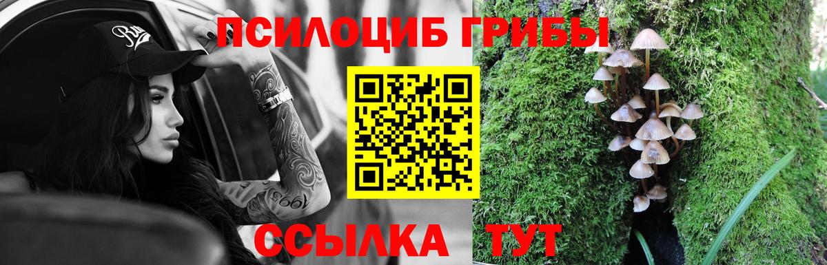 Псилоцибиновые грибы прущие грибы Люберцы