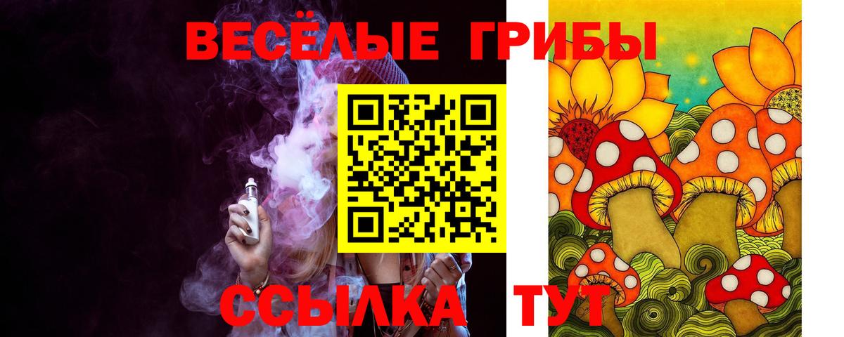 Галлюциногенные грибы мицелий  Вход с VPN  Люберцы  Галлюциногенные грибы прущие грибы 