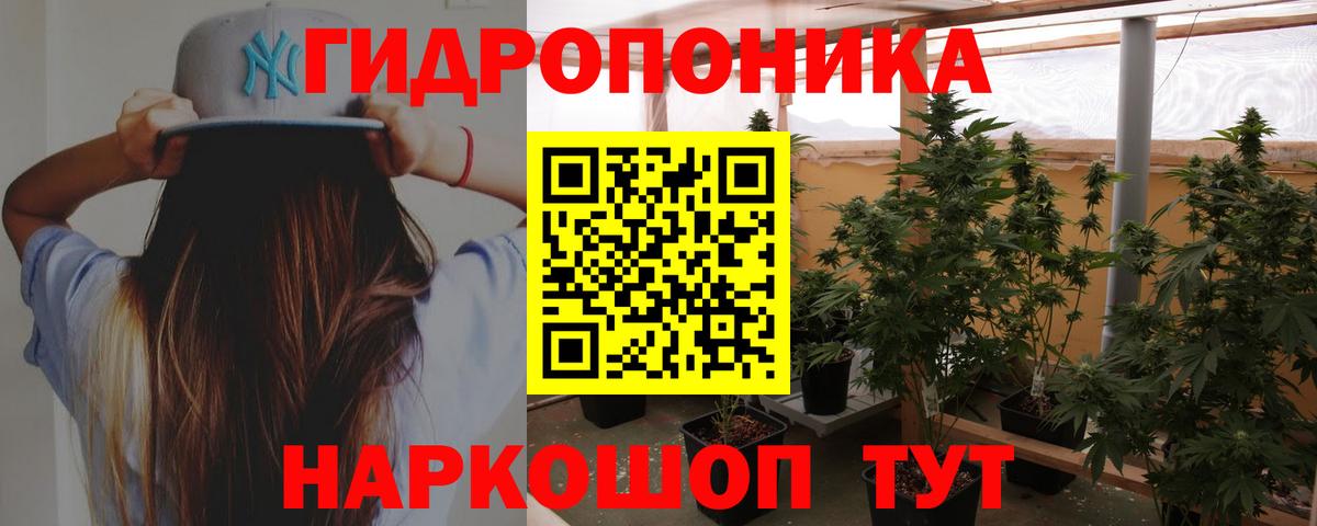 Каннабис план Люберцы